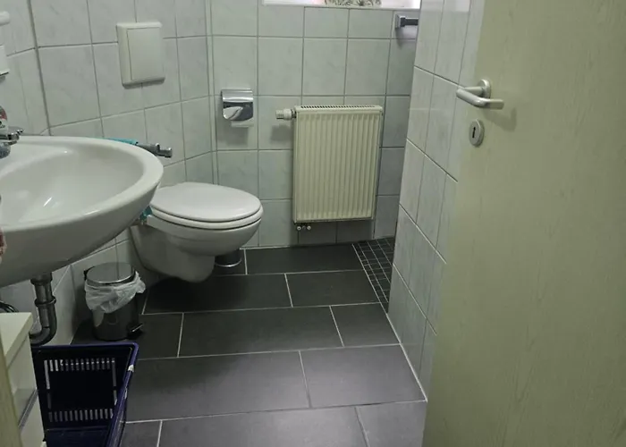 An Der Faehre St. Goar * Sankt Goar